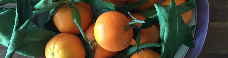 corso_social_media_alba